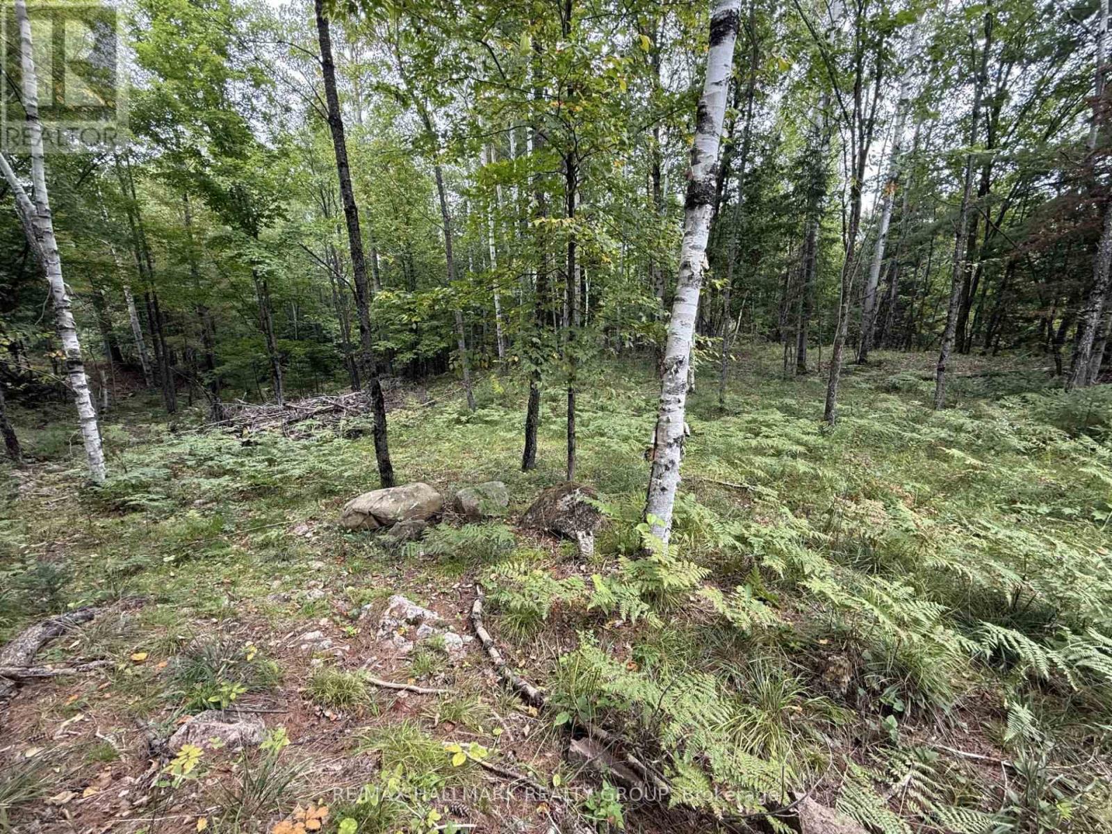 1059 6TH CONCESSION B ROAD, Lanark Highlands — photo 5