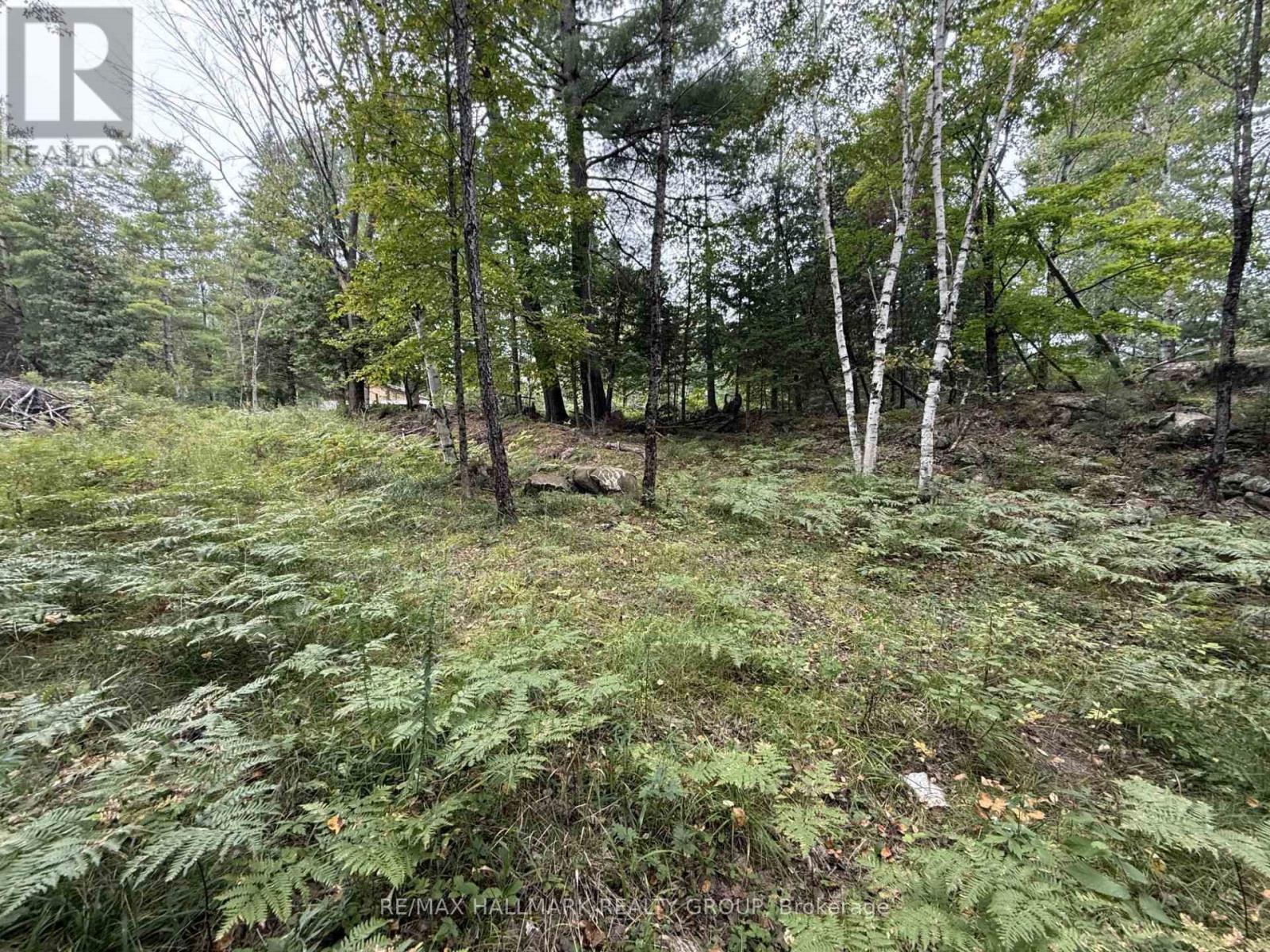 1059 6TH CONCESSION B ROAD, Lanark Highlands — photo 7