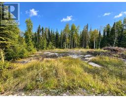 53 Mcmanus Street, Red Lake, ON P0V1C0 Photo 8