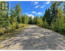 53 Mcmanus Street, Red Lake, ON P0V1C0 Photo 7