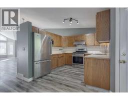 Furnace - 134 Douglas Avenue, Red Deer, AB T4R2G6 Photo 13