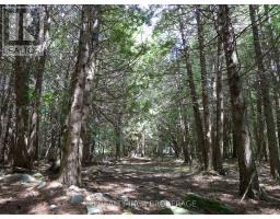 387 Christian Lane, Stone Mills, ON K0K3N0 Photo 12