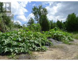 387 Christian Lane, Stone Mills, ON K0K3N0 Photo 7