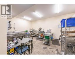 313 Railway Avenue, Salmo, BC V0G1Z0 Photo 30