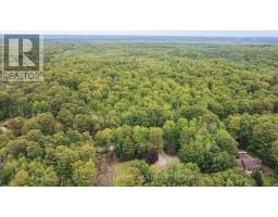 200185 Sideroad 10, Georgian Bluffs, ON N0H2K0 Photo 40