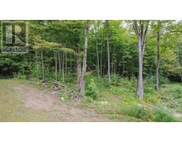 200185 Sideroad 10, Georgian Bluffs, ON N0H2K0 Photo 42
