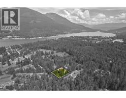 790 & 794 Lewis Road, Harrop, BC V1L6P7 Photo 95