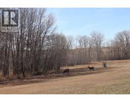 663 Lakeside Drive, Rural Vulcan County, AB T0L0R0 Photo 19