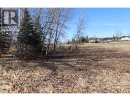 663 Lakeside Drive, Rural Vulcan County, AB T0L0R0 Photo 24