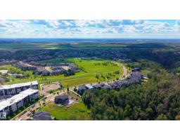 4182 Cameron Heights Pt Nw, Edmonton, AB T6M0S5 Photo 67
