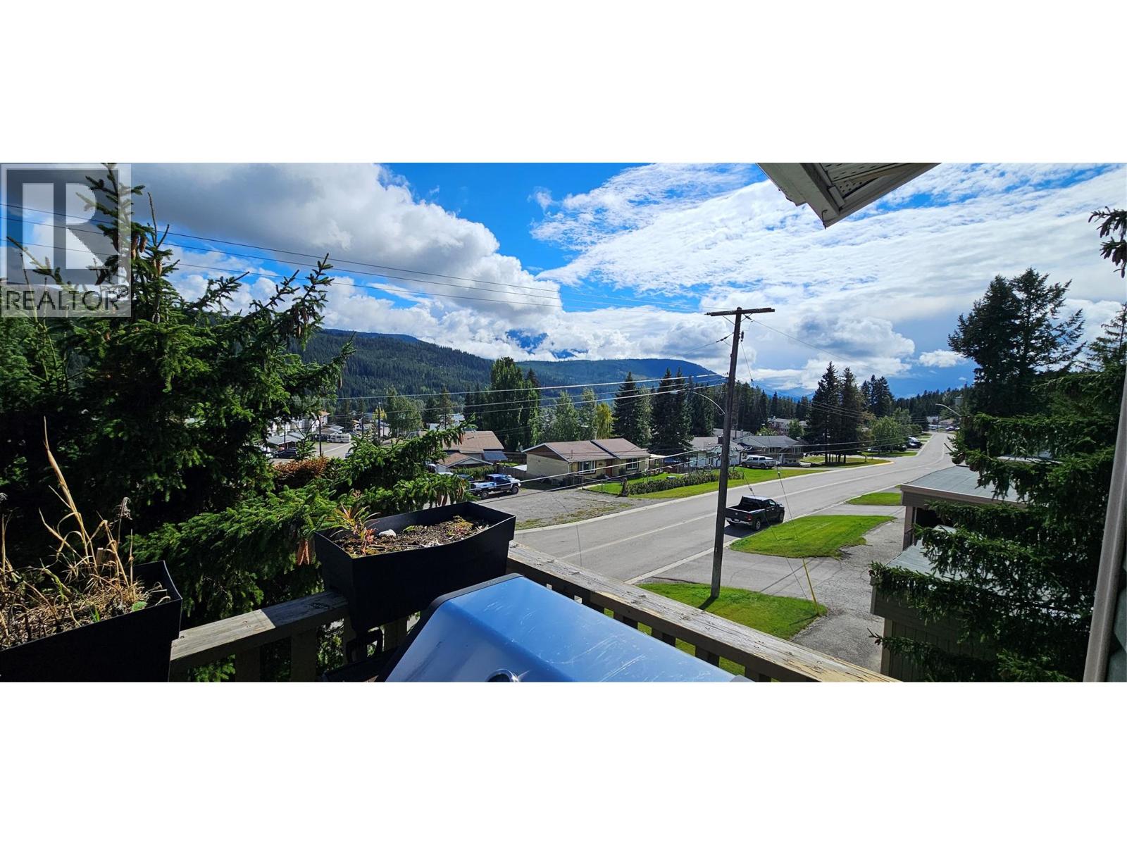 #301A 1335 ALPINE Drive - 4