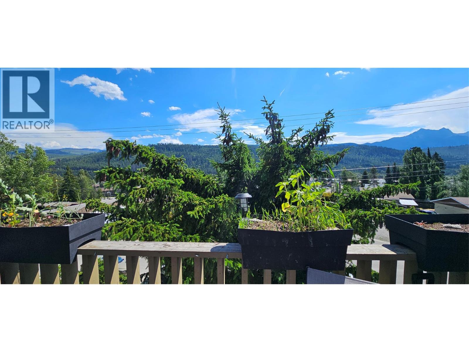 1335 ALPINE Drive Unit# 301A, Elkford — photo 5