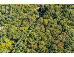 1184 Eveleigh Road, Muskoka Lakes, ON P0B1J0 Photo 40