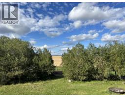14514 Township Road 541, Rural Yellowhead County, AB T7E3Z6 Photo 30