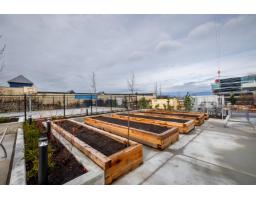 2003 8551 201 Street, Langley, BC V2Y3Y5 Photo 28