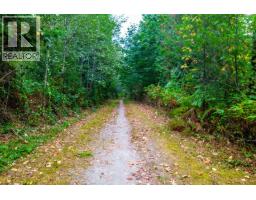 12772 251 Street, Maple Ridge, BC V4R1S4 Photo 11