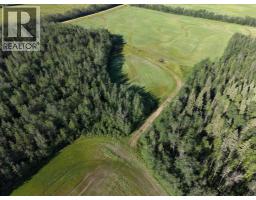 4104 Township Road 473a, Rural Brazeau County, AB T0C0P0 Photo 45