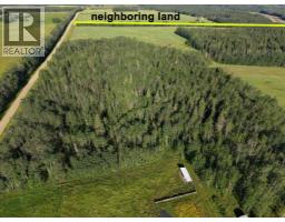 4104 Township Road 473a, Rural Brazeau County, AB T0C0P0 Photo 43