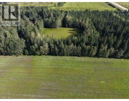 4104 Township Road 473a, Rural Brazeau County, AB T0C0P0 Photo 48