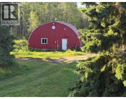 4104 Township Road 473a, Rural Brazeau County, AB T0C0P0 Photo 32