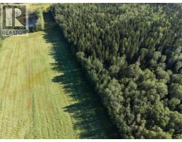 4104 Township Road 473a, Rural Brazeau County, AB T0C0P0 Photo 47