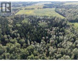 4104 Township Road 473a, Rural Brazeau County, AB T0C0P0 Photo 46