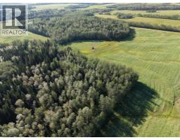 4104 Township Road 473a, Rural Brazeau County, AB T0C0P0 Photo 44