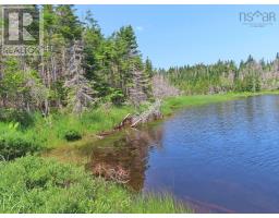 Lot 31 Belfry Lake Road, Gabarus Lake, NS B1K2E8 Photo 10