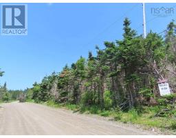 Lot 31 Belfry Lake Road, Gabarus Lake, NS B1K2E8 Photo 14