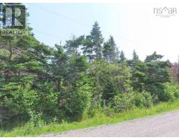 Lot 31 Belfry Lake Road, Gabarus Lake, NS B1K2E8 Photo 17