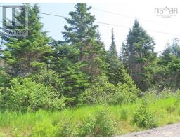 Lot 31 Belfry Lake Road, Gabarus Lake, NS B1K2E8 Photo 15