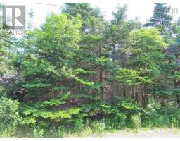Lot 31 Belfry Lake Road, Gabarus Lake, NS B1K2E8 Photo 16