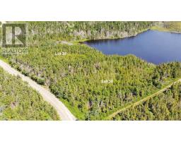 Lot 31 Belfry Lake Road, Gabarus Lake, NS B1K2E8 Photo 20