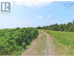 Lot 31 Belfry Lake Road, Gabarus Lake, NS B1K2E8 Photo 30