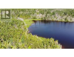 Lot 31 Belfry Lake Road, Gabarus Lake, NS B1K2E8 Photo 28