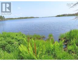 Lot 31 Belfry Lake Road, Gabarus Lake, NS B1K2E8 Photo 6