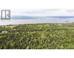 46 Acres Washabuck Road, Lower Washabuck, NS B2C1N4 Photo 12