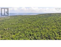 46 Acres Washabuck Road, Lower Washabuck, NS B2C1N4 Photo 10
