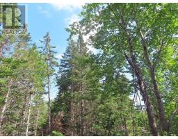 46 Acres Washabuck Road, Lower Washabuck, NS B2C1N4 Photo 20