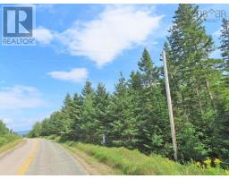 46 Acres Washabuck Road, Lower Washabuck, NS B2C1N4 Photo 22