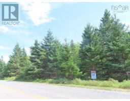 46 Acres Washabuck Road, Lower Washabuck, NS B2C1N4 Photo 24