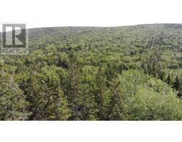 46 Acres Washabuck Road, Lower Washabuck, NS B2C1N4 Photo 7