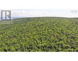 46 Acres Washabuck Road, Lower Washabuck, NS B2C1N4 Photo 9