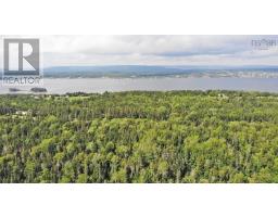 46 Acres Washabuck Road, Lower Washabuck, NS B2C1N4 Photo 13