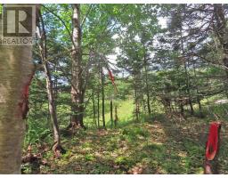 46 Acres Washabuck Road, Lower Washabuck, NS B2C1N4 Photo 18