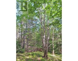46 Acres Washabuck Road, Lower Washabuck, NS B2C1N4 Photo 21