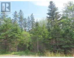 46 Acres Washabuck Road, Lower Washabuck, NS B2C1N4 Photo 25