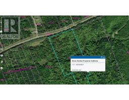 46 Acres Washabuck Road, Lower Washabuck, NS B2C1N4 Photo 29