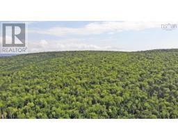 46 Acres Washabuck Road, Lower Washabuck, NS B2C1N4 Photo 8