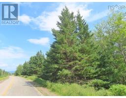 46 Acres Washabuck Road, Lower Washabuck, NS B2C1N4 Photo 23